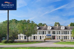 pet friendly hotel in st simons georgia