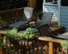 pet friendly by owner vacation rental in sea island